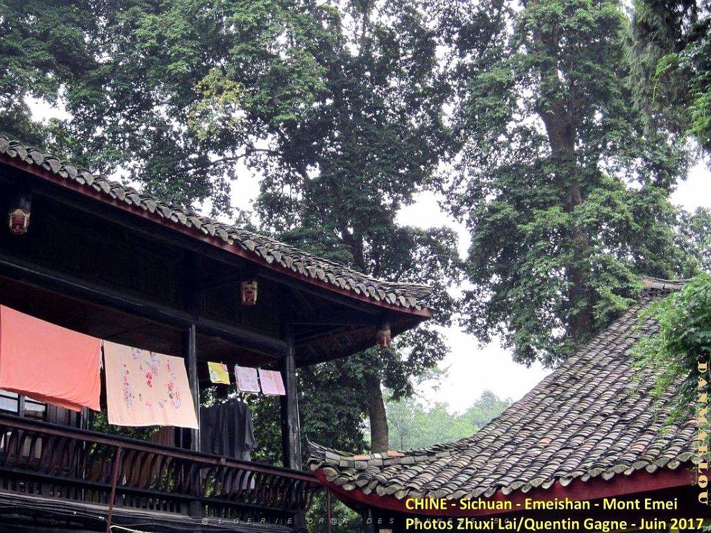 Emeishan 021.JPG